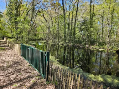 Parc de Beaudesert etang.